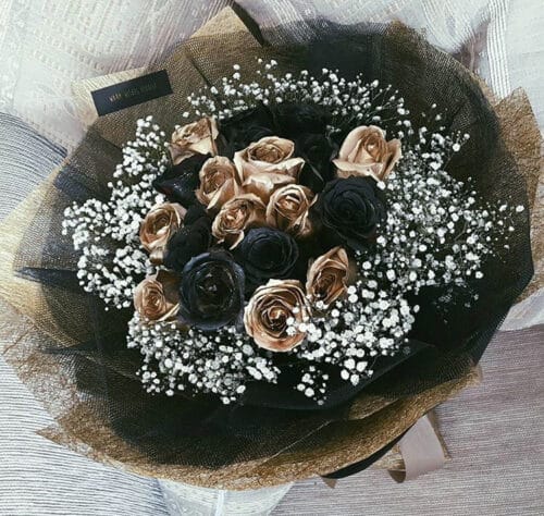 Image 2016-03-10 00.28.33