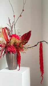 WhatsApp Image 2026-02-05 at 10.30.04 (1)