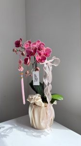 WhatsApp Image 2026-02-06 at 21.42.14 (1)